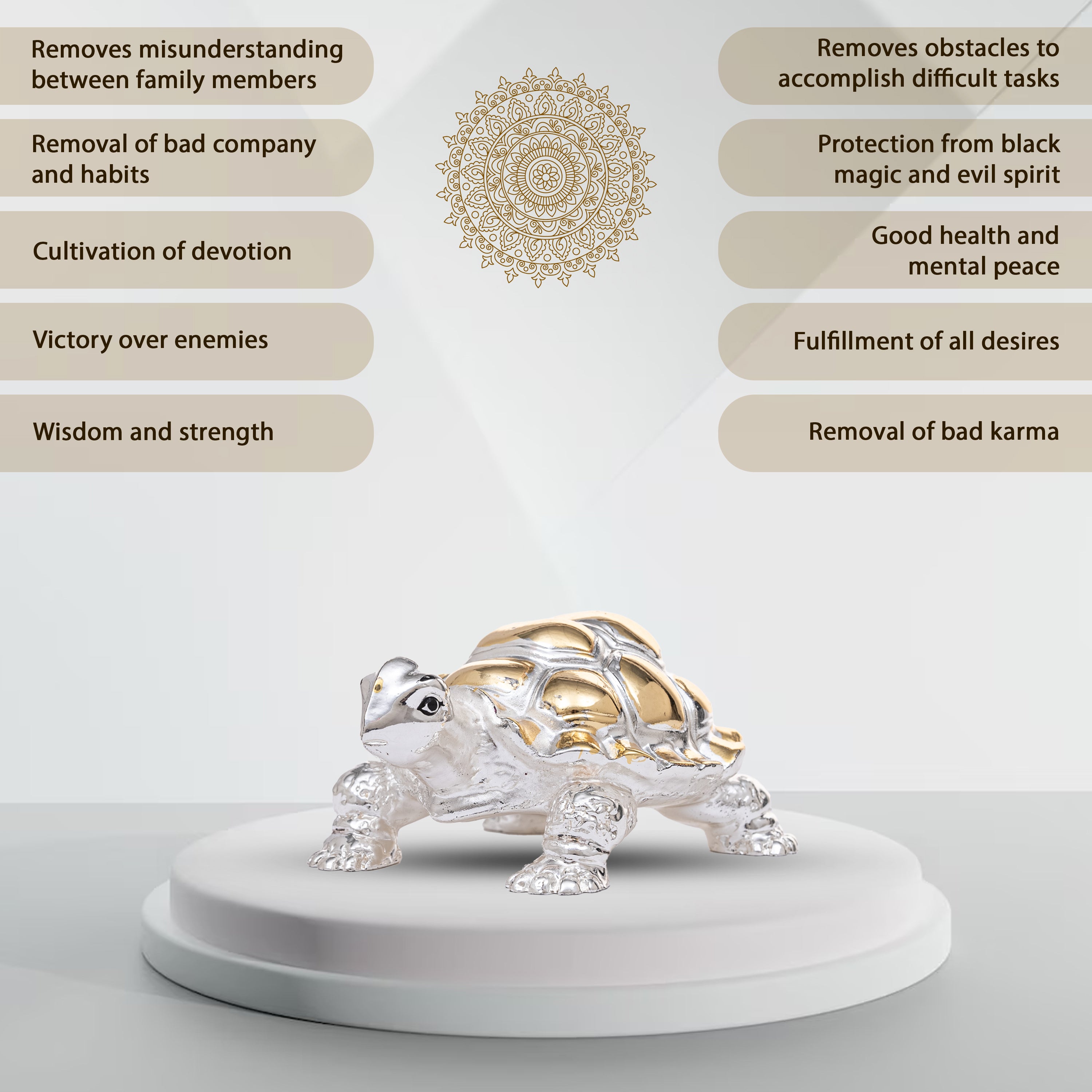 Gold and Silver Coated Tortoise