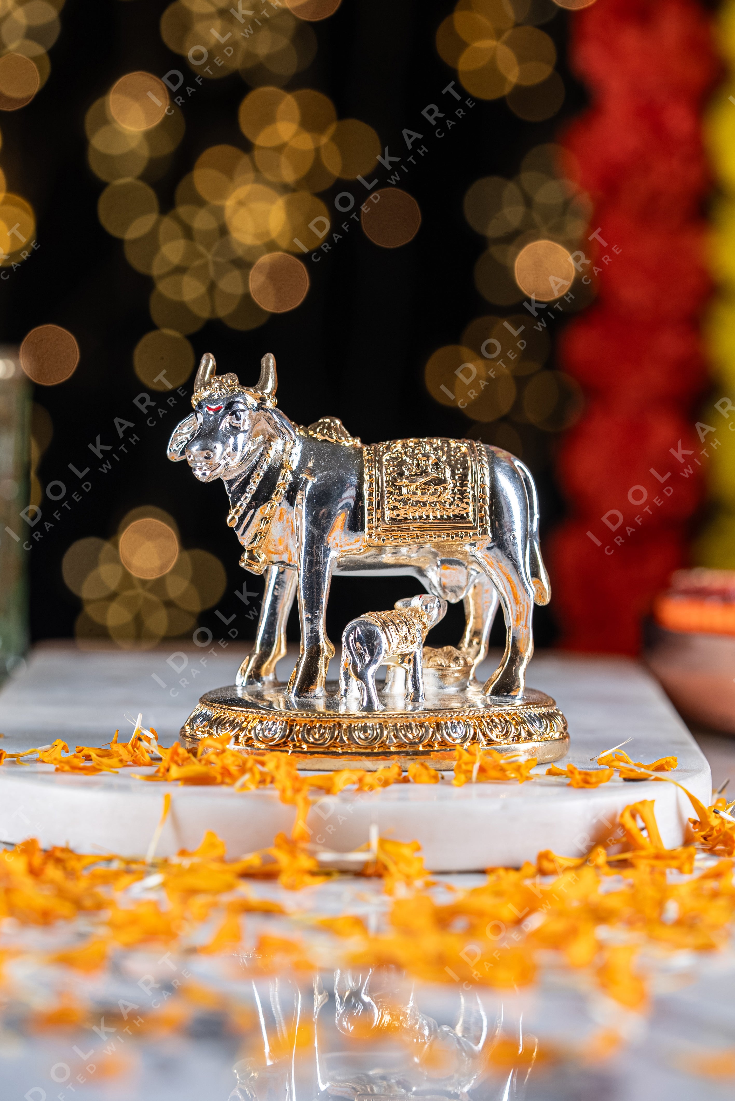 kamadhenu photo
