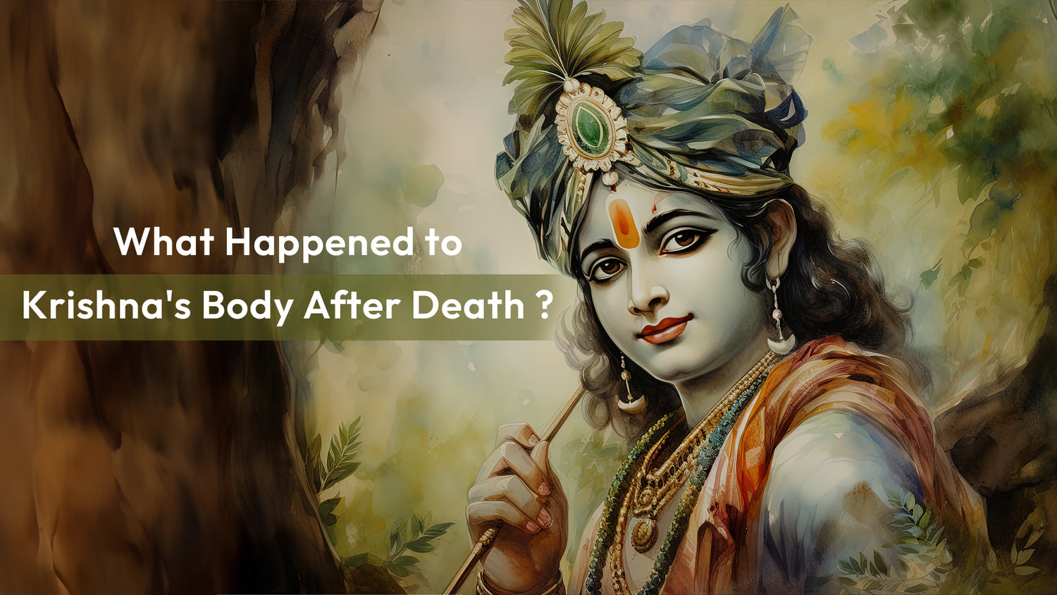 What happened to Krishna's body after death