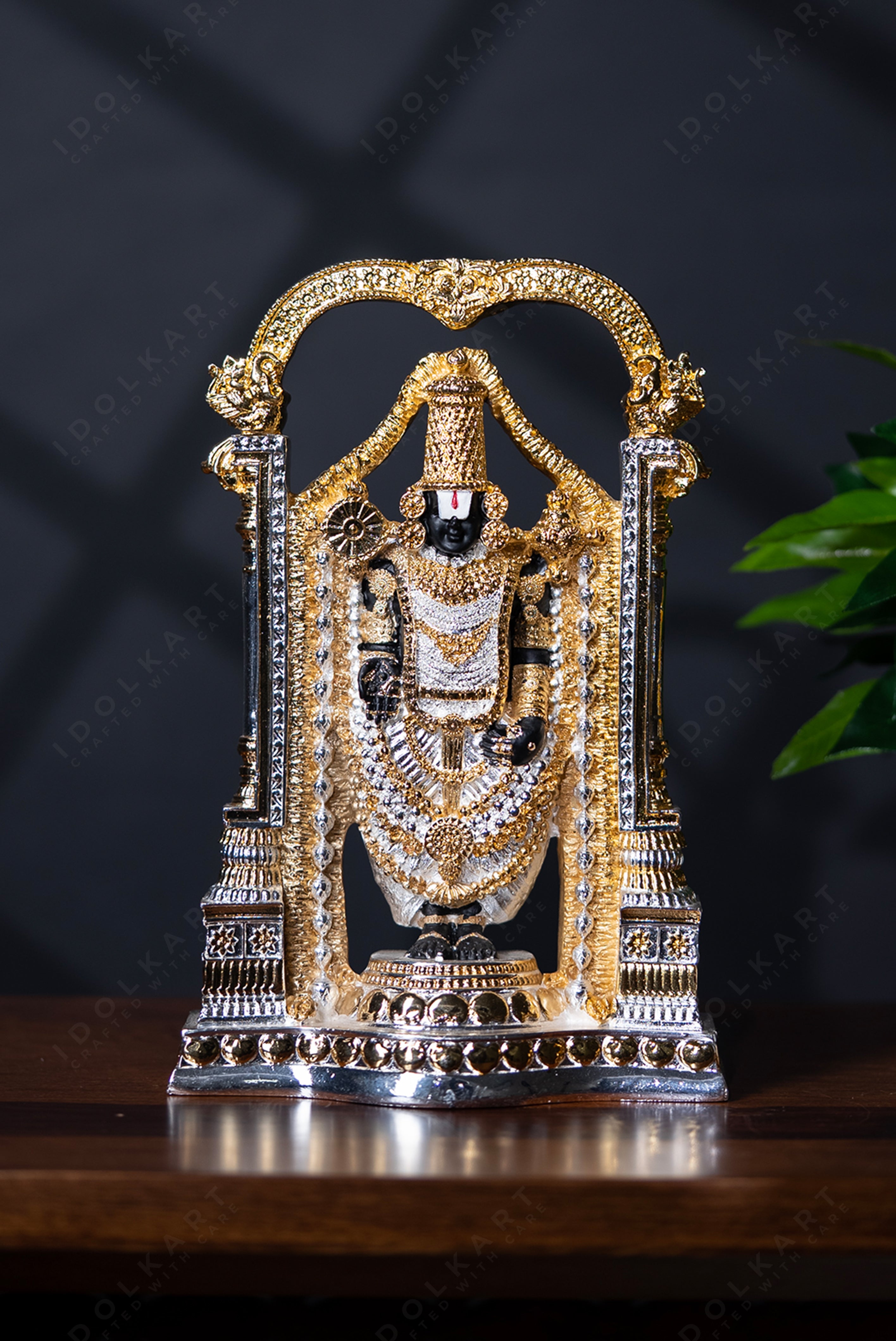 Tirupati Venkateswara Swamy/Lord Balaji Photo Frame Religious Frame 02 :  Amazon.in: Home & Kitchen