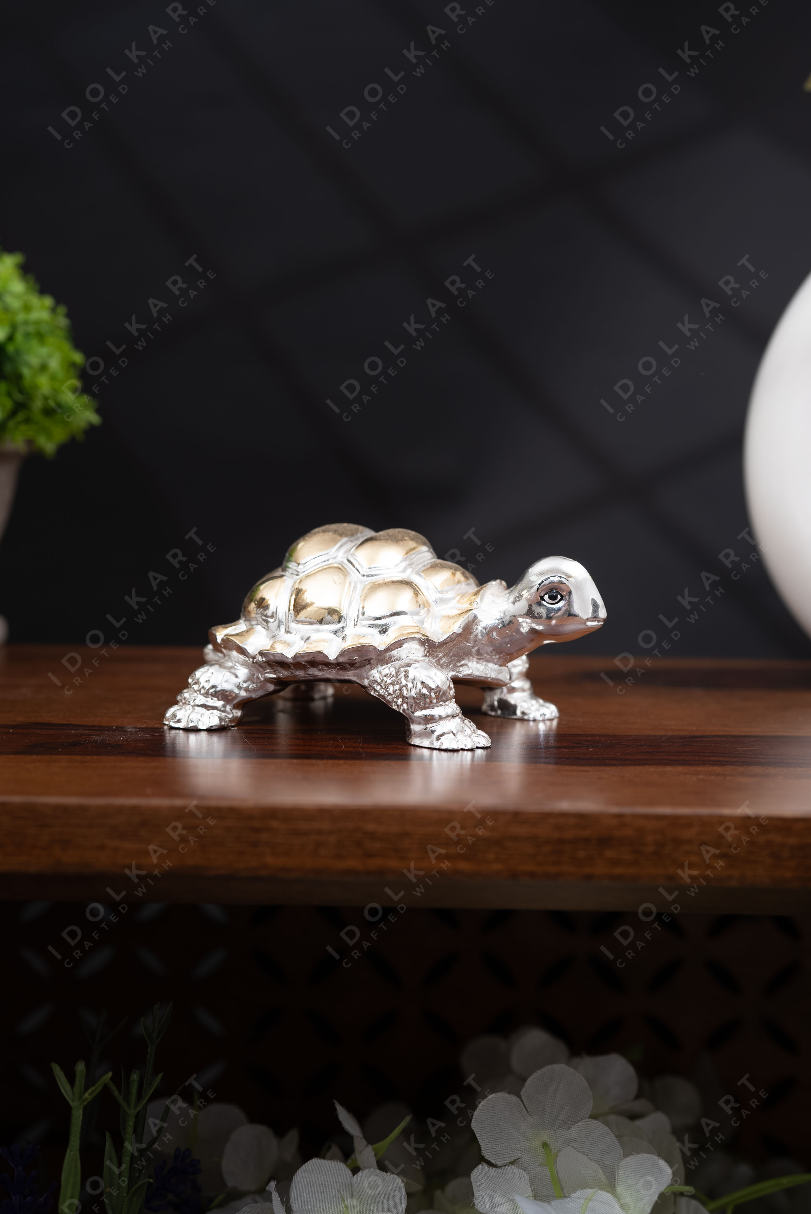 Gold and Silver Coated Tortoise