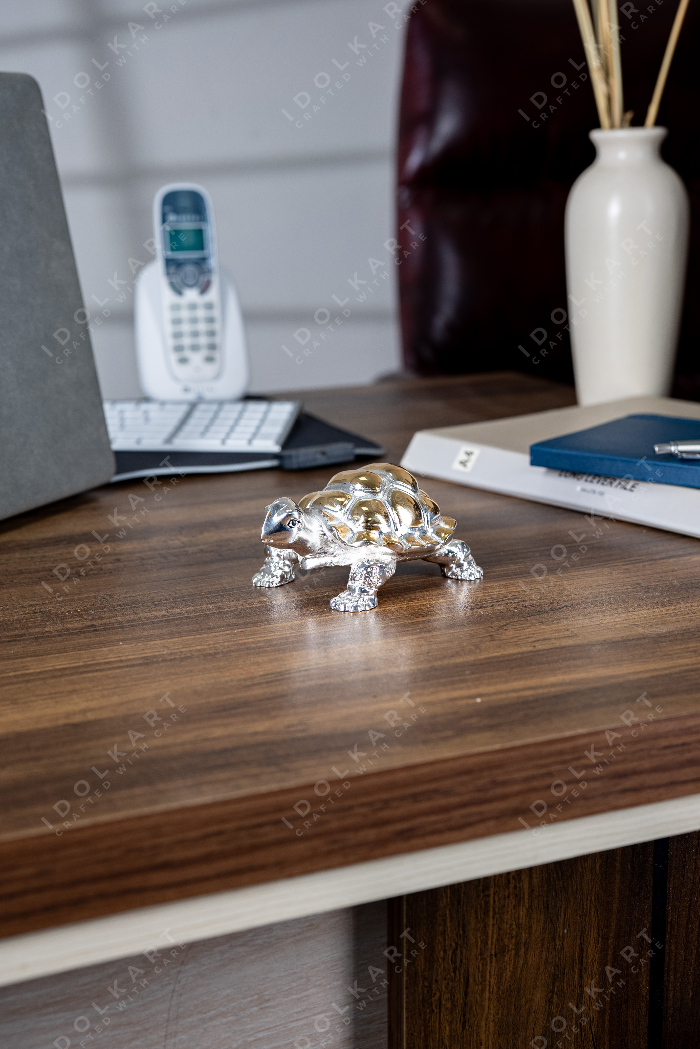 Gold and Silver Coated Tortoise